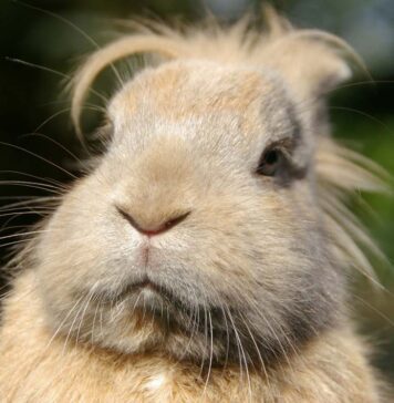 If You Eat Meat You Need To Know These 5 Facts